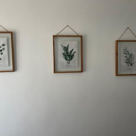 Apartmán Carmen12 Xàtiva Exteriér fotografie